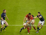 FZ025539 Wales vs Scotland.jpg